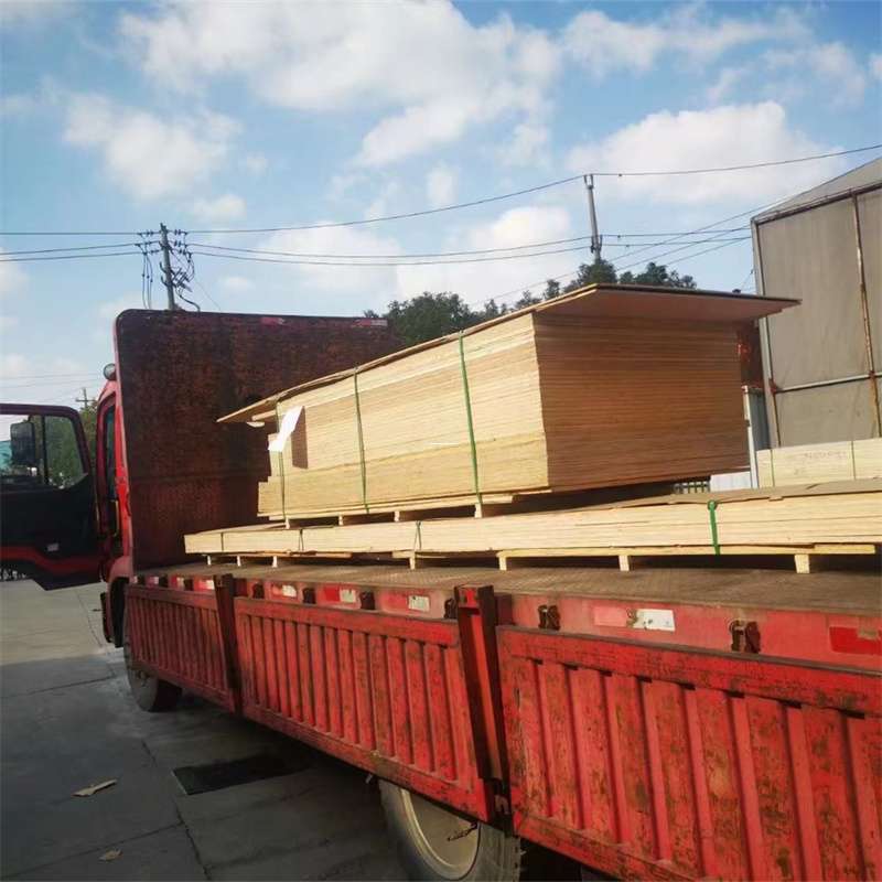 吉林辽源东丰县至塔城货运专线，一站式物流服务助您成功